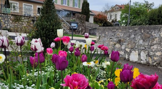 "Mon quartier, mon village" : la commune de Claix parmi les villages sélectionnés pour la saison 5 du concours organisé par ICI Isère!