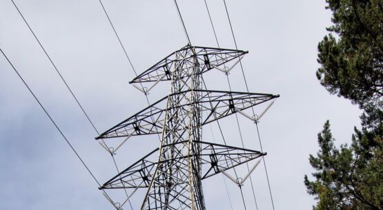 Travaux d'élagage autour des lignes à haute tension