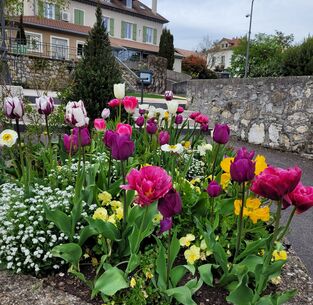 "Mon quartier, mon village" : la commune de Claix parmi les villages sélectionnés pour la saison 5 du concours organisé par ICI Isère!