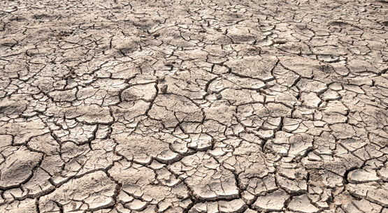 Sécheresse 2025 : reconnue Catastrophe Naturelle
