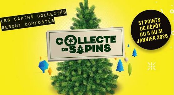 Gestion des déchets : quelques bonnes informations à connaître avant les fêtes