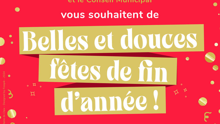 Cérémonie des vœux du Maire